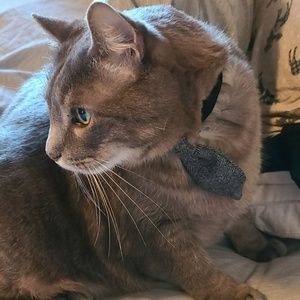 Meet your Posher, Caleb